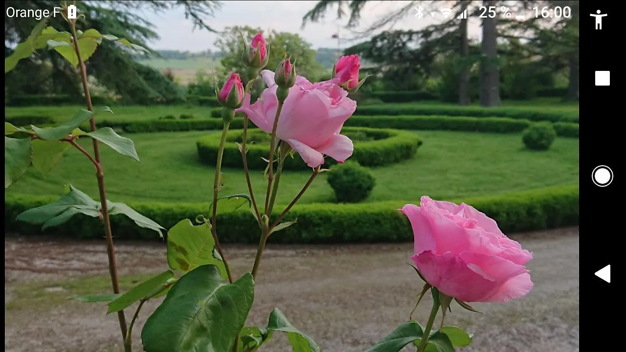 Bed and Breakfast Chateau De Clermont-Saves à LʼIsle-Jourdain France